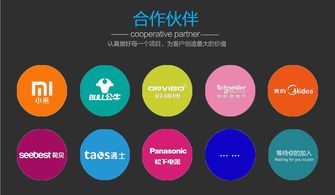 迅速開發(fā)與運營 智能電器產品的電子商務平臺模式探析