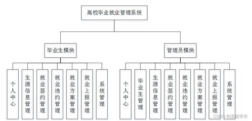 SSM高校畢業就業管理系統設計與計算機畢業設計困難應對策略
